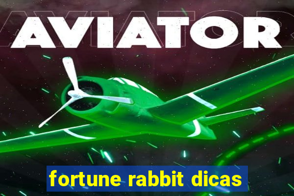 fortune rabbit dicas