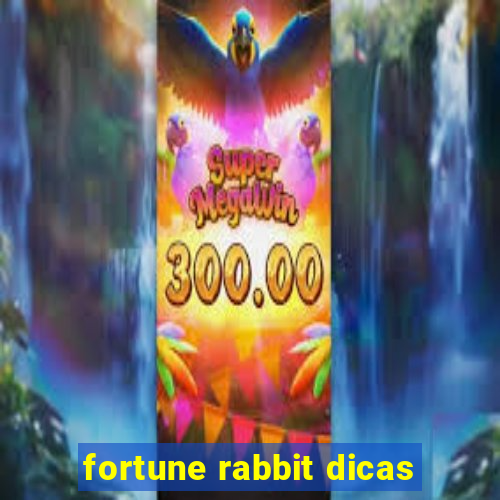 fortune rabbit dicas