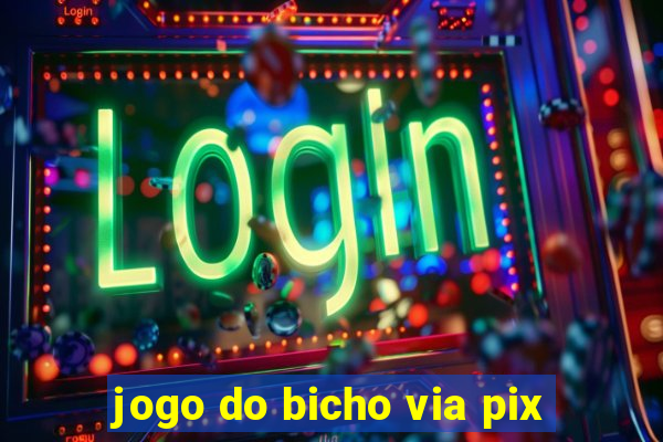 jogo do bicho via pix