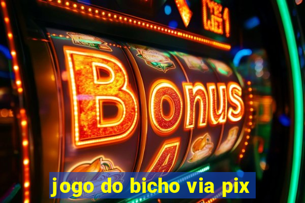 jogo do bicho via pix