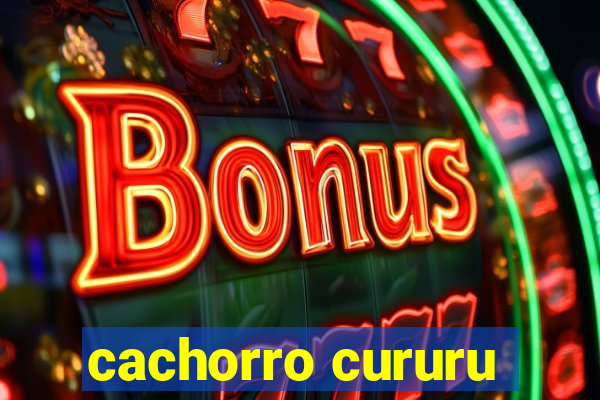 cachorro cururu