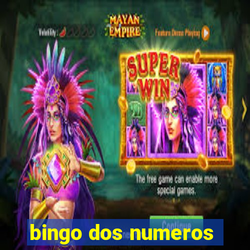 bingo dos numeros