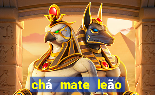 chá mate leão tem cafeína