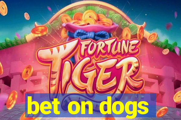 bet on dogs