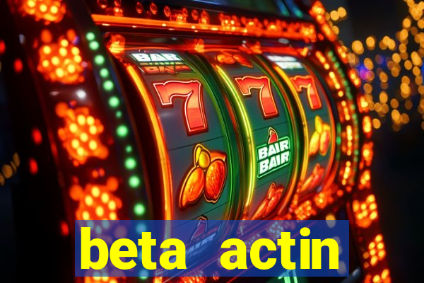 beta actin molecular weight