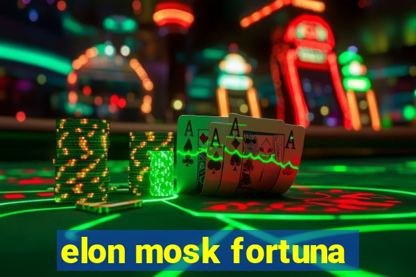 elon mosk fortuna