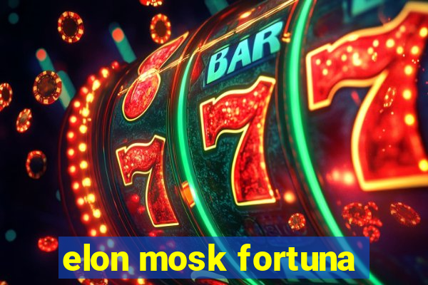 elon mosk fortuna