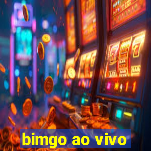 bimgo ao vivo