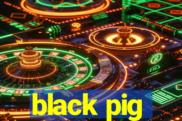 black pig