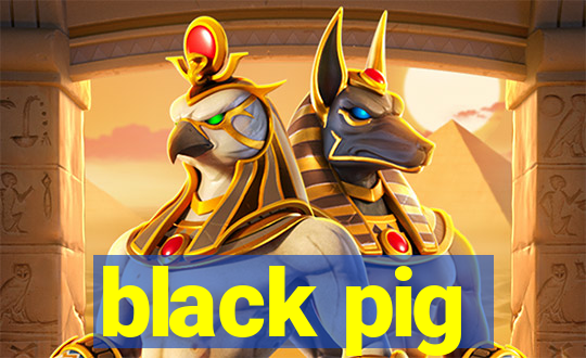 black pig