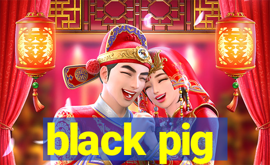 black pig