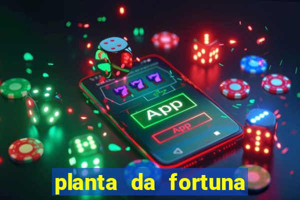 planta da fortuna e felicidade