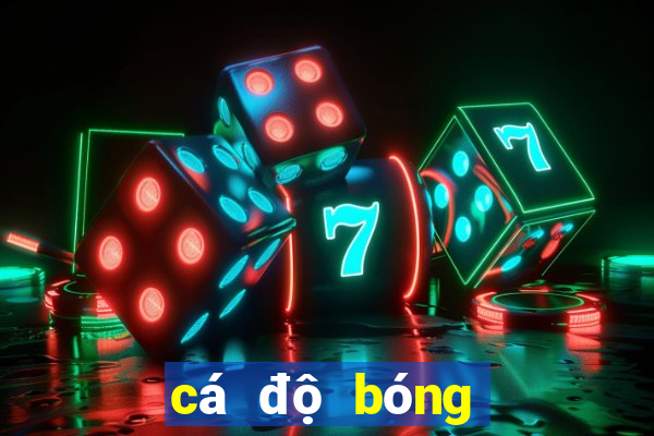 cá độ bóng đá online