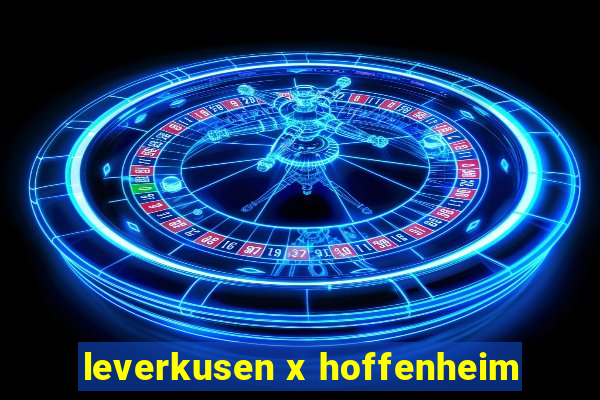 leverkusen x hoffenheim