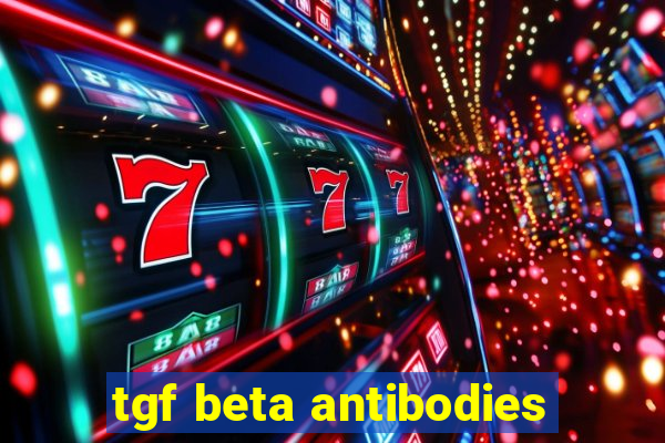 tgf beta antibodies