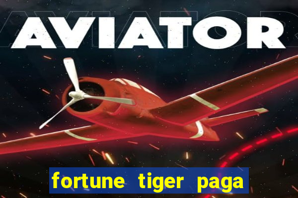 fortune tiger paga de madrugada