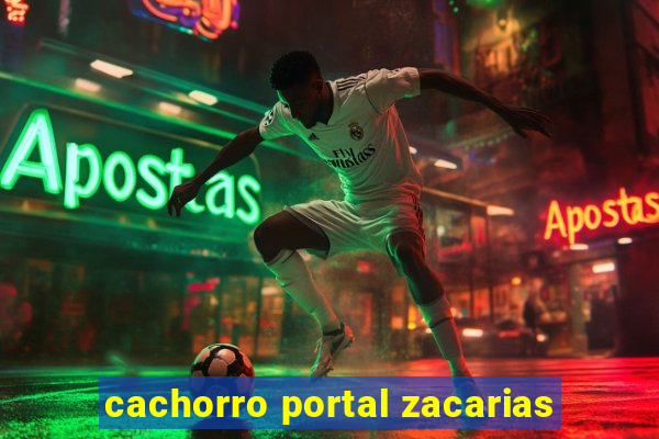 cachorro portal zacarias