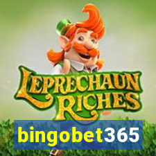 bingobet365