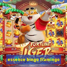 essence bingo flamingo