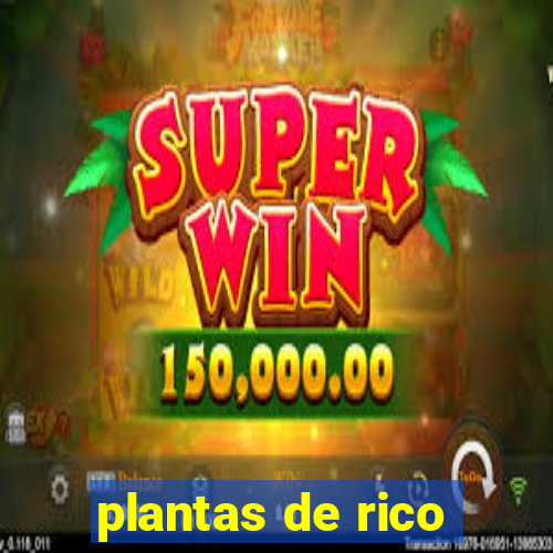 plantas de rico