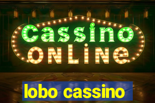 lobo cassino