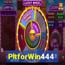 PltforWin444