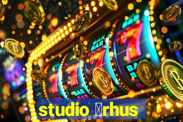 studio 氓rhus