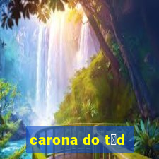 carona do t茅d