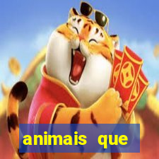 animais que produzem l茫