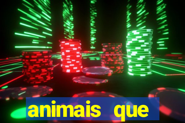 animais que produzem l茫