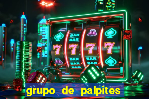 grupo de palpites de futebol whatsapp