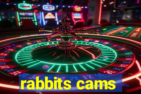 rabbits cams