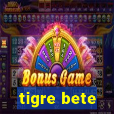 tigre bete