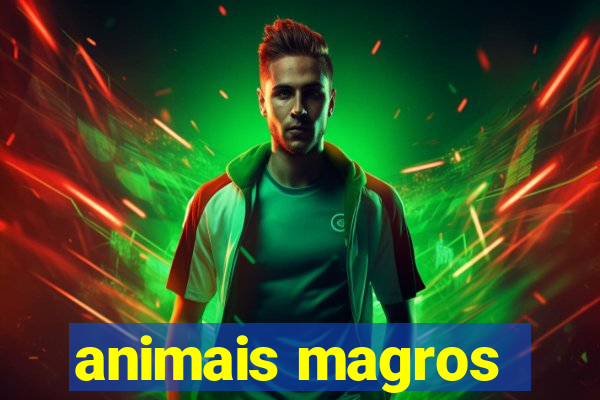 animais magros