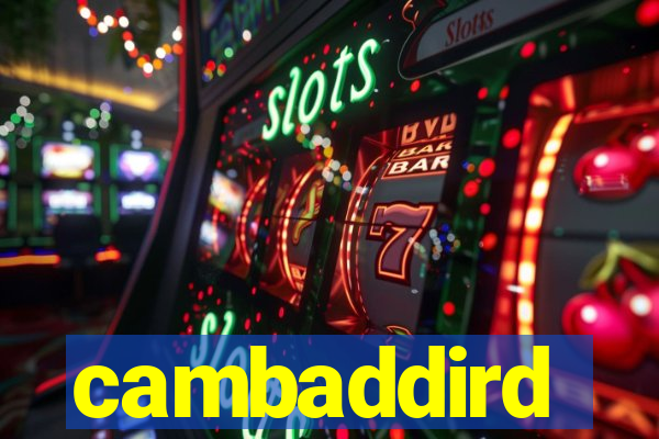 cambaddird