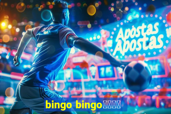 bingo bingo線上投注