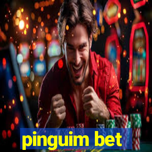 pinguim bet