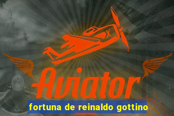 fortuna de reinaldo gottino