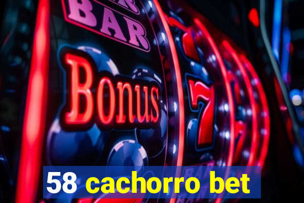 58 cachorro bet