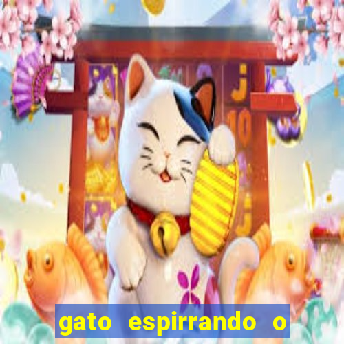 gato espirrando o que é