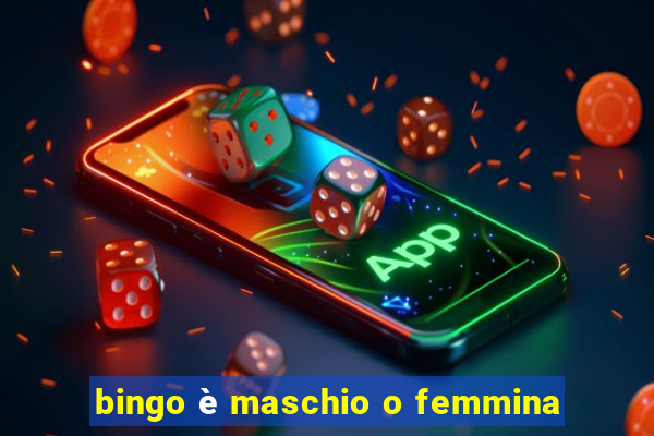 bingo è maschio o femmina