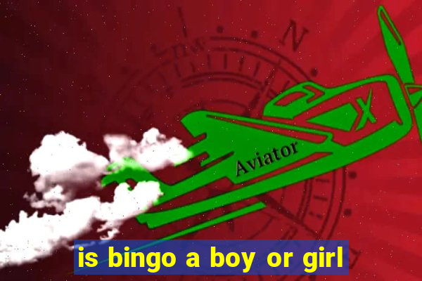 is bingo a boy or girl