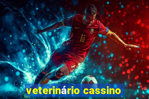 veterinário cassino