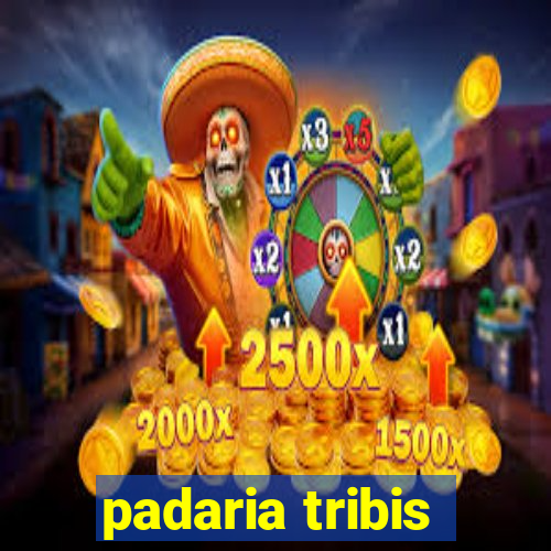 padaria tribis