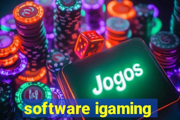 software igaming