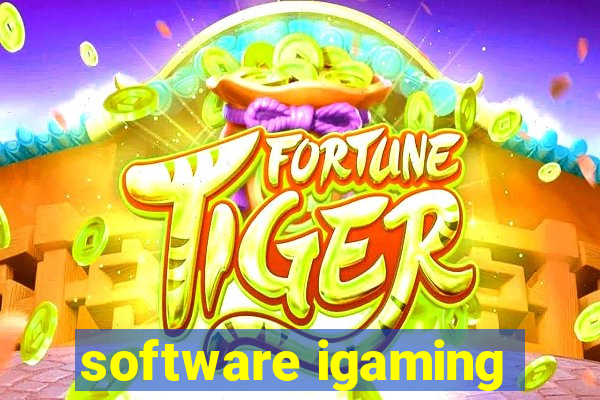 software igaming