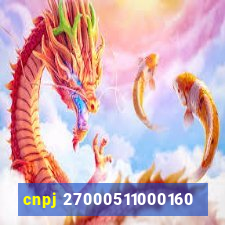 cnpj 27000511000160