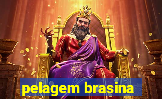 pelagem brasina