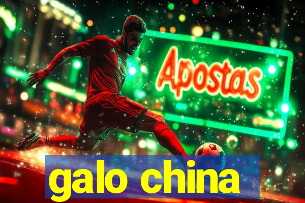 galo china