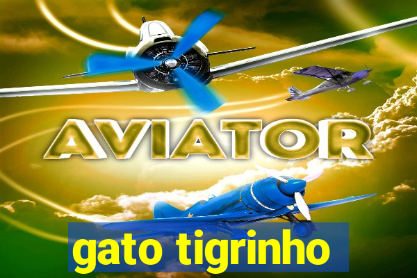 gato tigrinho